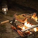 BBQ Tool for Grilling